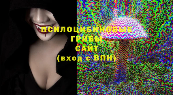 гашик Балабаново