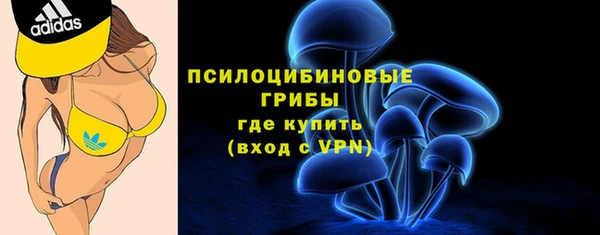 прущие грибы Балахна