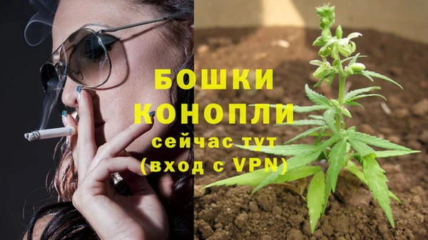 прущие грибы Балахна