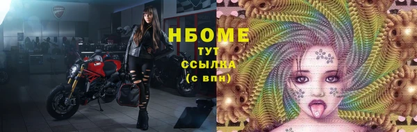 прущие грибы Балахна