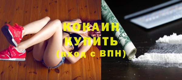 прущие грибы Балахна